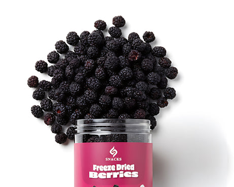 توت مجفف بالتبريد مقرمش بلون زاهٍ – محمصة سناكس (freeze dried berries)
